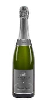 Vondeling Rurale Blanc de Blanc 2019